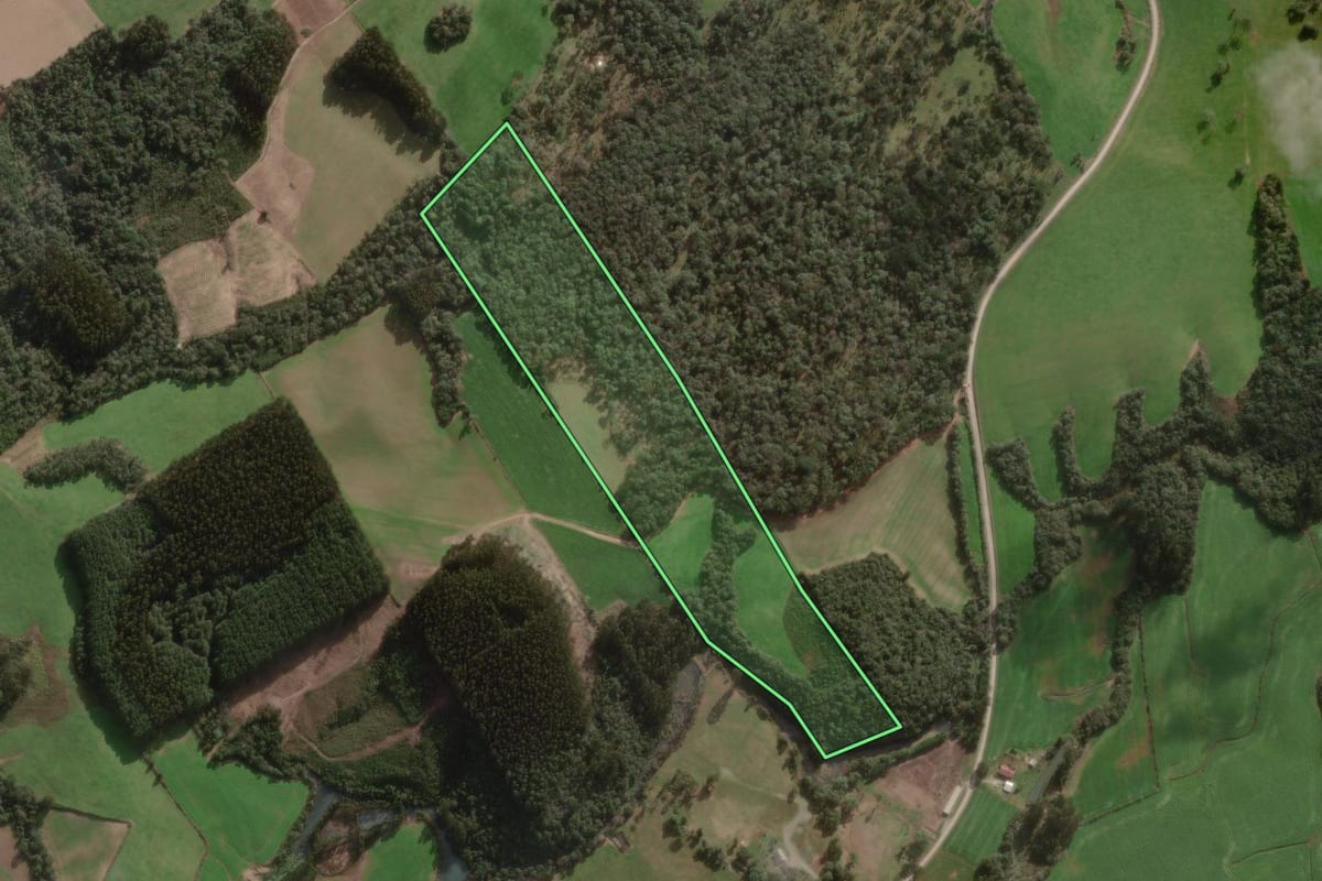 Imagem de satélite do imóvel rural em Major Vieira (SC), com o contorno declarado no CAR desenhado por cima.