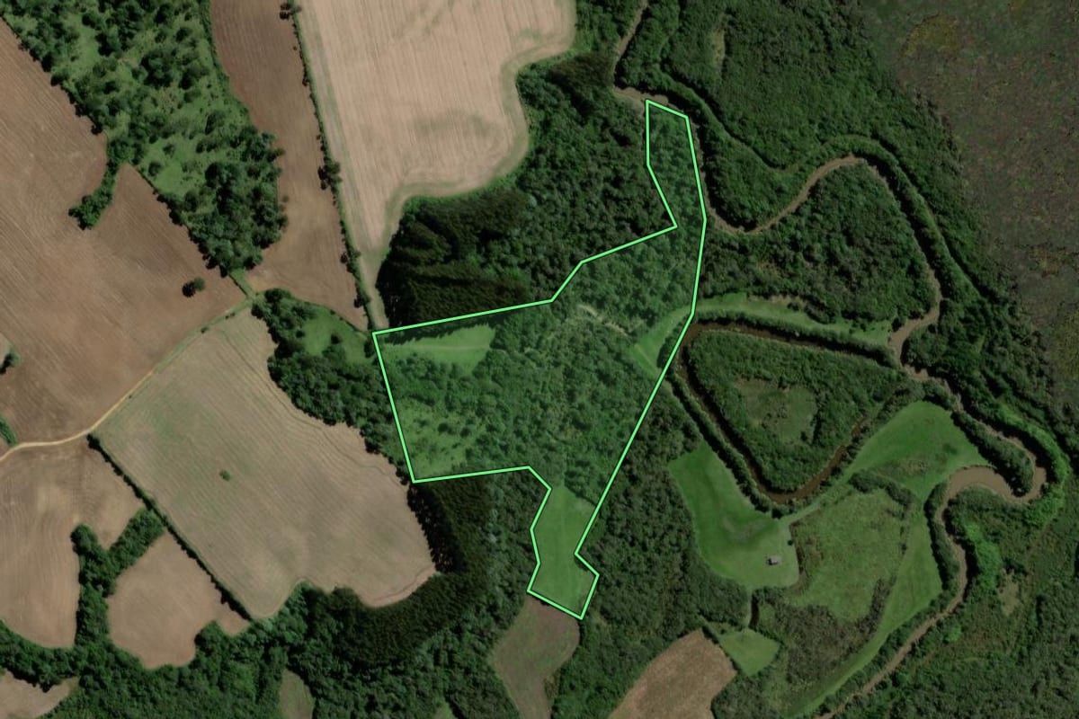 Imagem de satélite do imóvel rural em Major Vieira (SC), com o contorno declarado no CAR desenhado por cima.