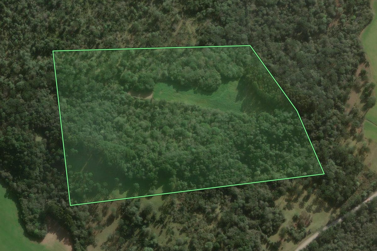 Imagem de satélite do imóvel rural em Major Vieira (SC), com o contorno declarado no CAR desenhado por cima.