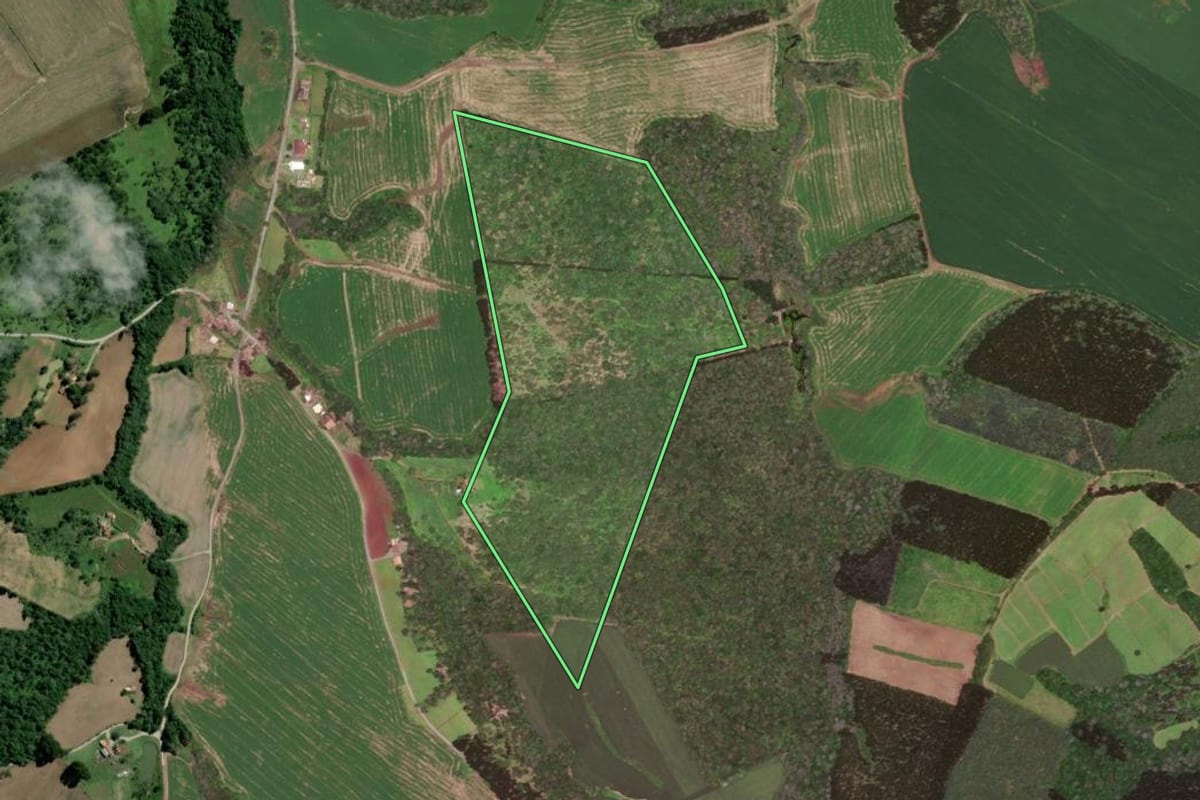 Imagem de satélite do imóvel rural em Major Vieira (SC), com o contorno declarado no CAR desenhado por cima.