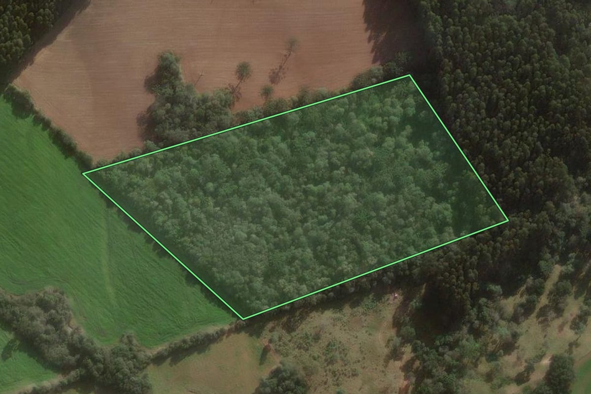 Imagem de satélite do imóvel rural em Major Vieira (SC), com o contorno declarado no CAR desenhado por cima.