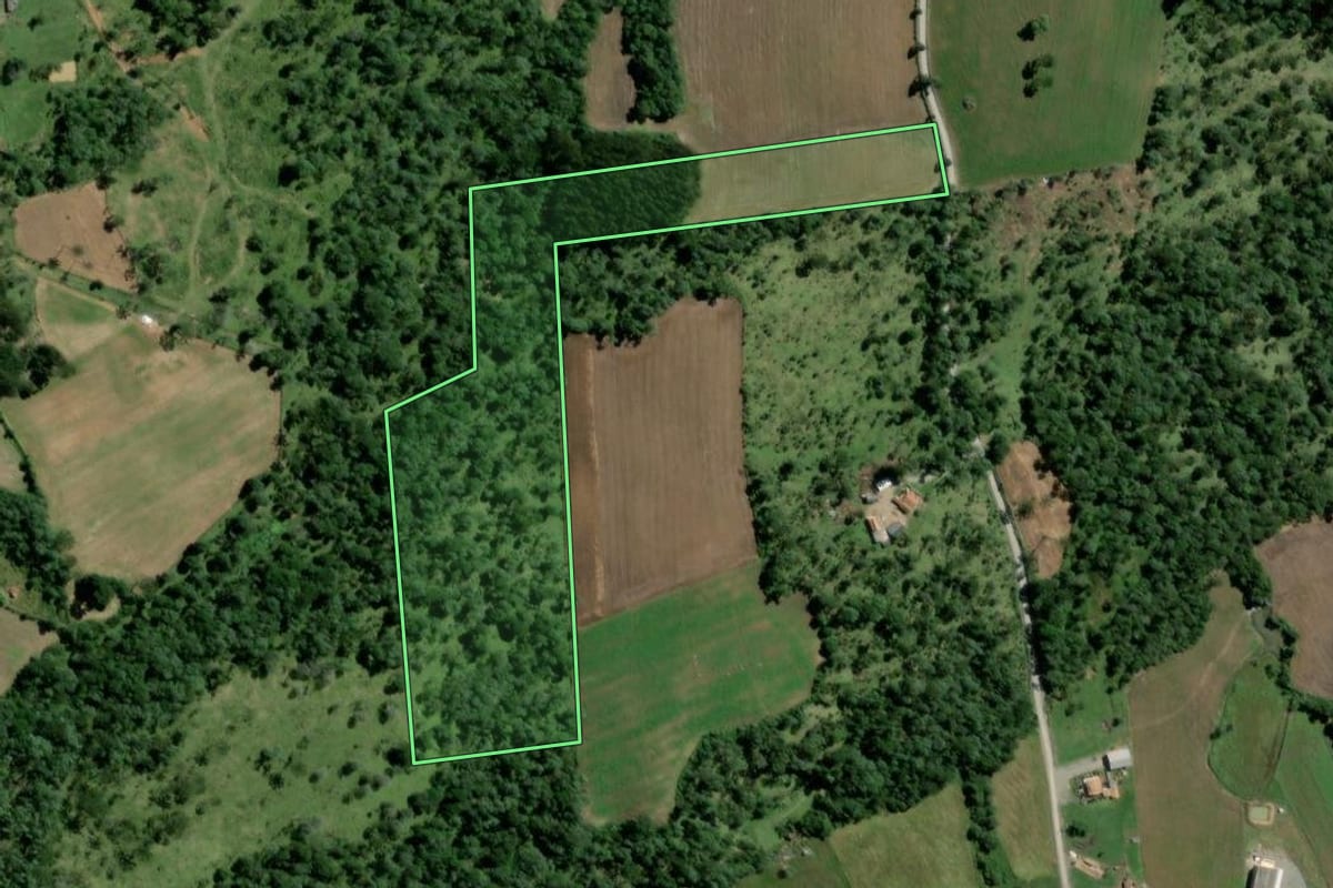Imagem de satélite do imóvel rural em Major Vieira (SC), com o contorno declarado no CAR desenhado por cima.