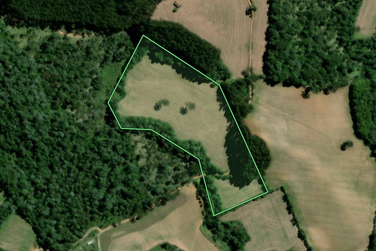 Imagem de satélite do imóvel rural em Major Vieira (SC), com o contorno declarado no CAR desenhado por cima.