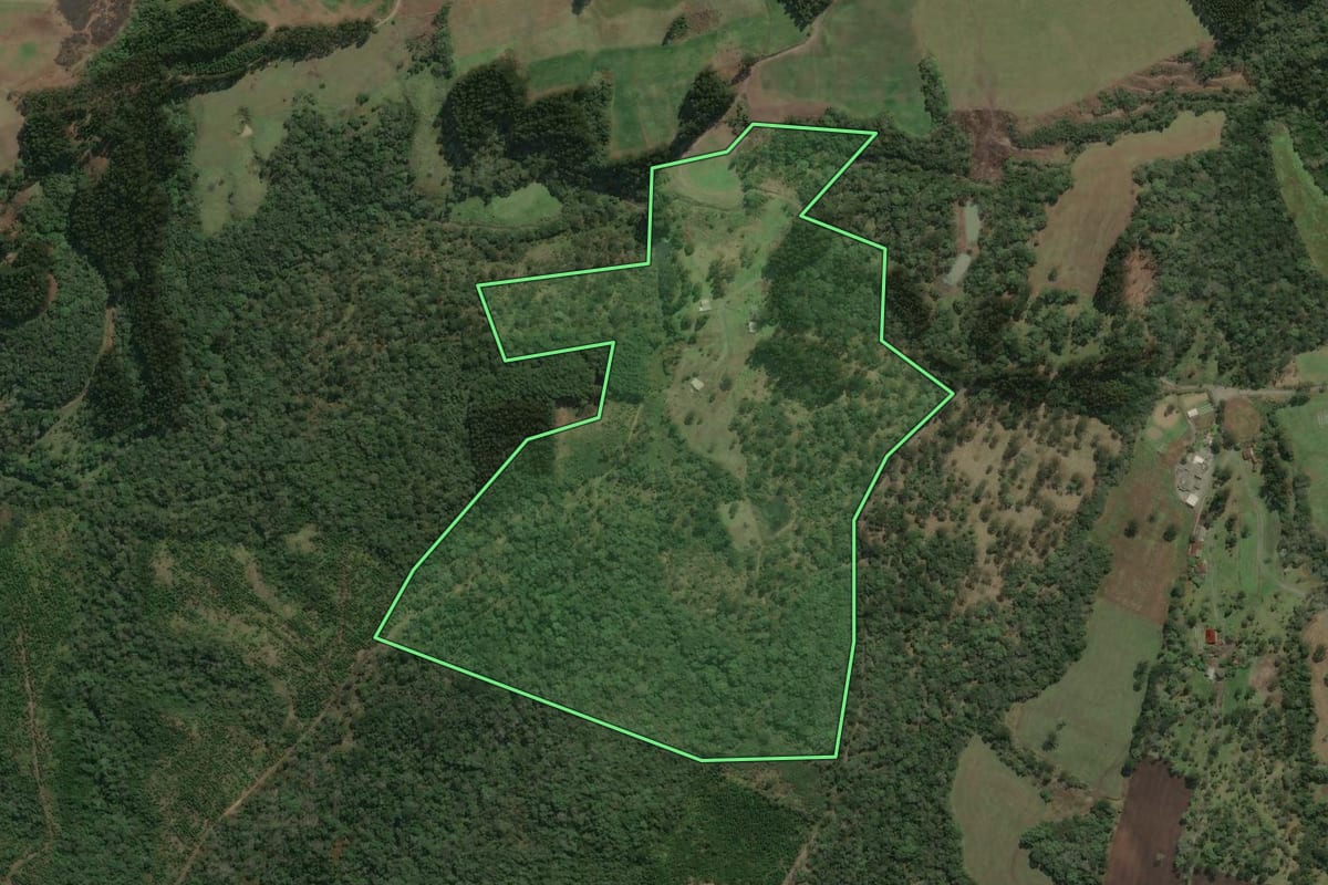 Imagem de satélite do imóvel rural em Major Vieira (SC), com o contorno declarado no CAR desenhado por cima.