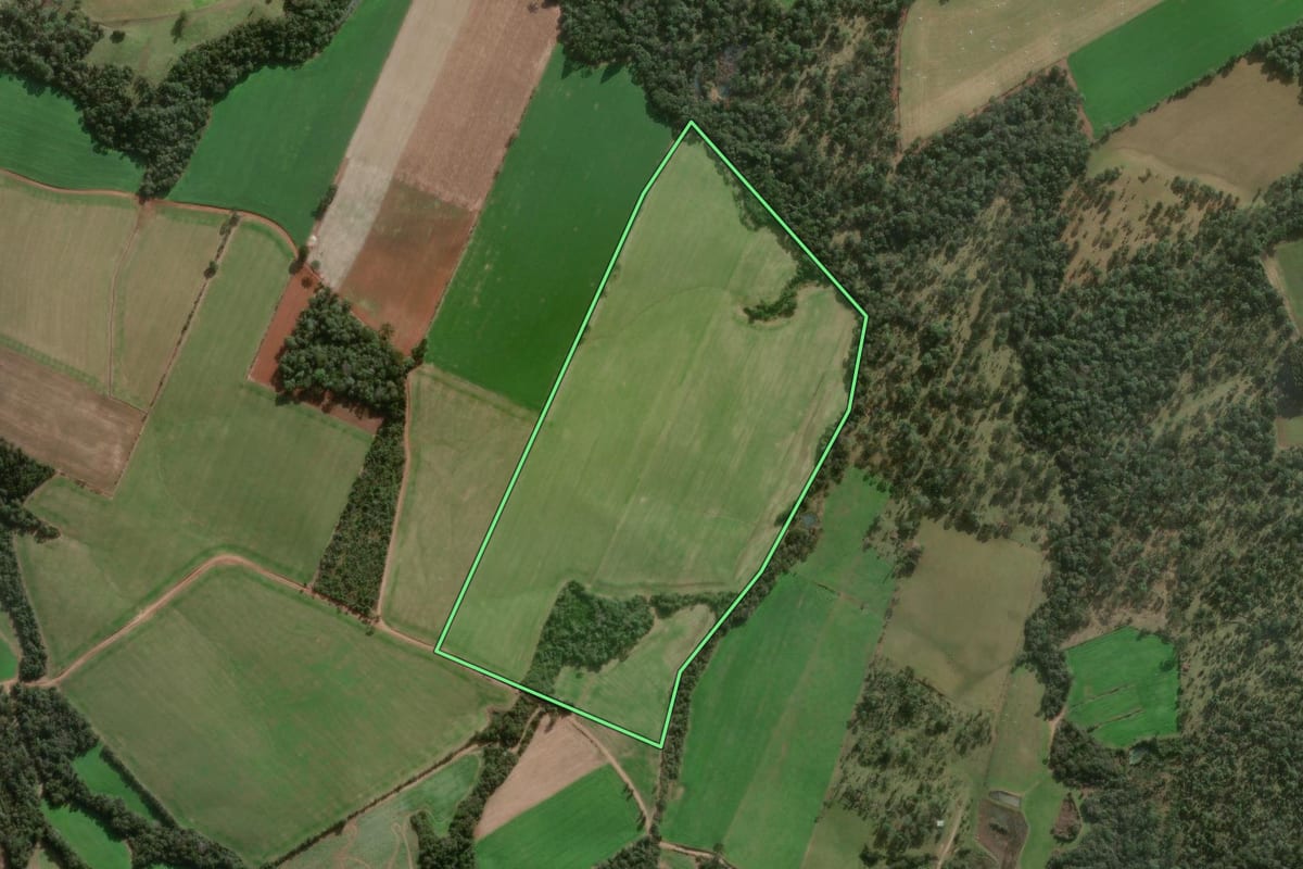 Imagem de satélite do imóvel rural em Major Vieira (SC), com o contorno declarado no CAR desenhado por cima.