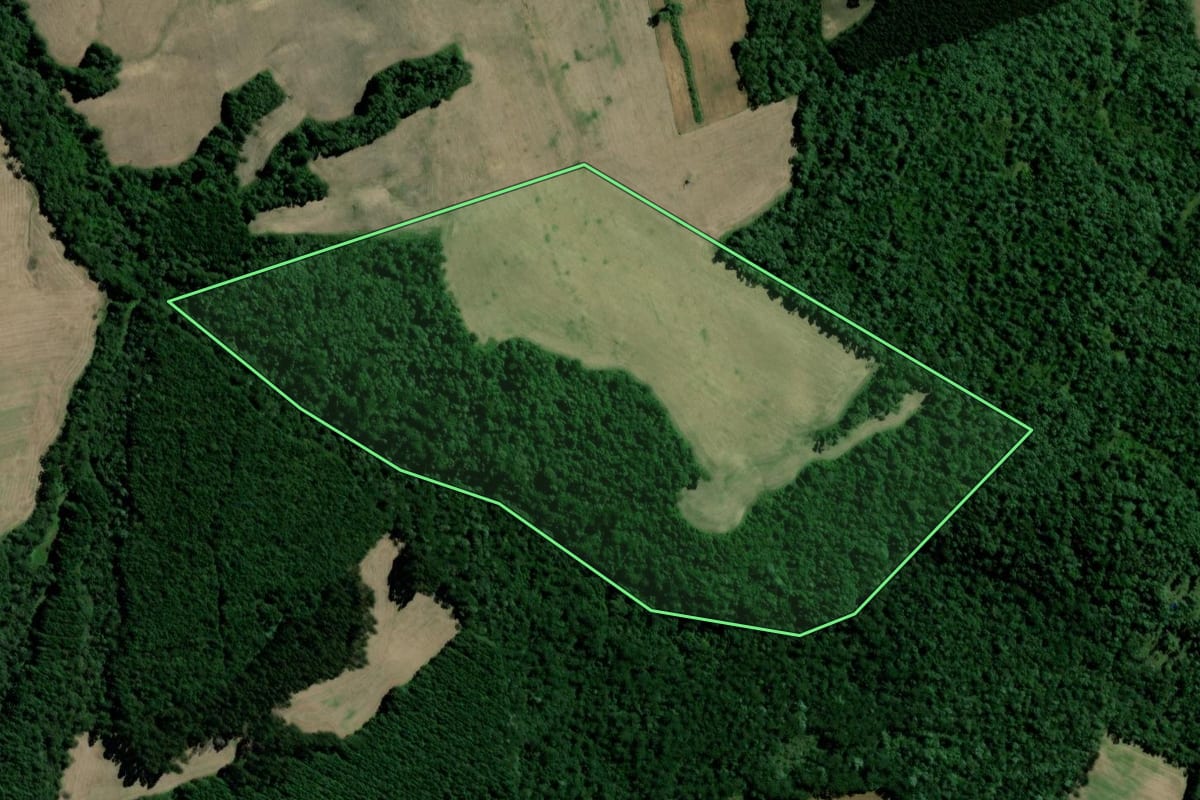 Imagem de satélite do imóvel rural em Major Vieira (SC), com o contorno declarado no CAR desenhado por cima.