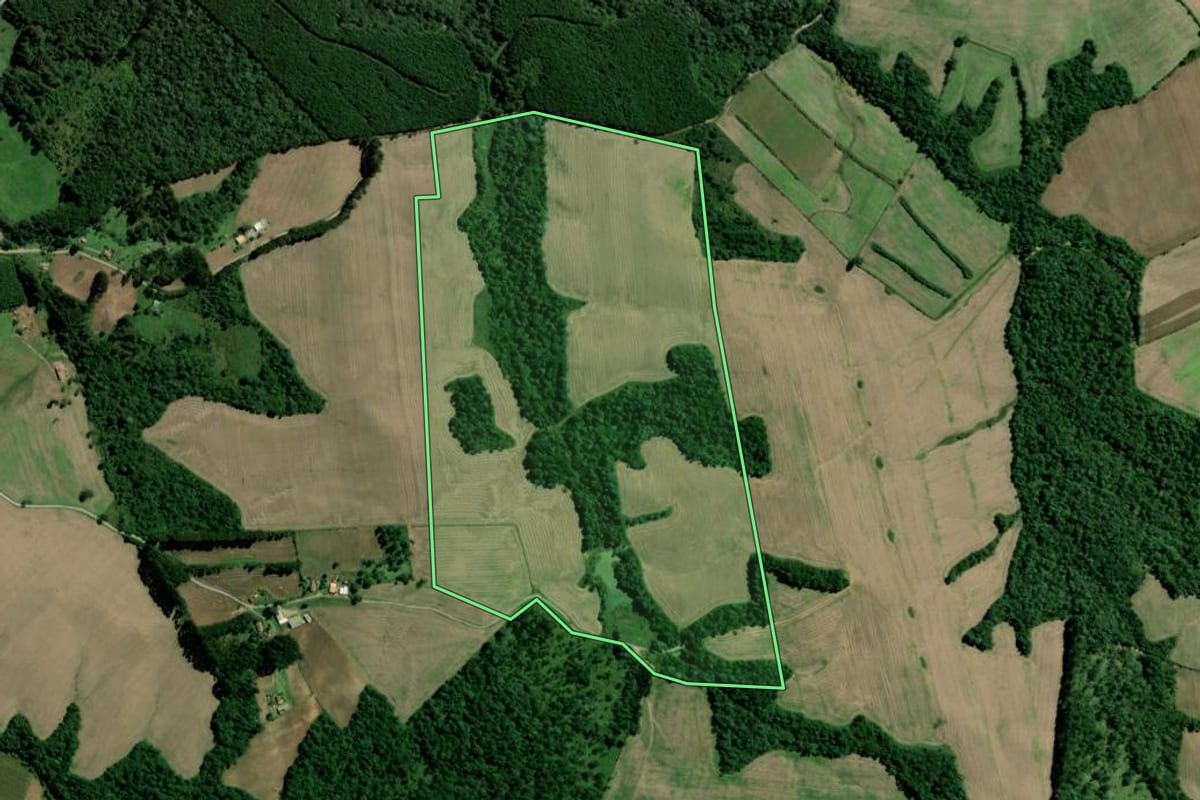 Imagem de satélite do imóvel rural em Major Vieira (SC), com o contorno declarado no CAR desenhado por cima.