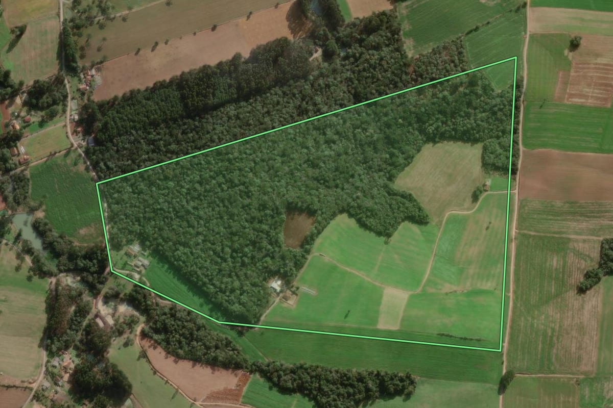 Imagem de satélite do imóvel rural em Major Vieira (SC), com o contorno declarado no CAR desenhado por cima.