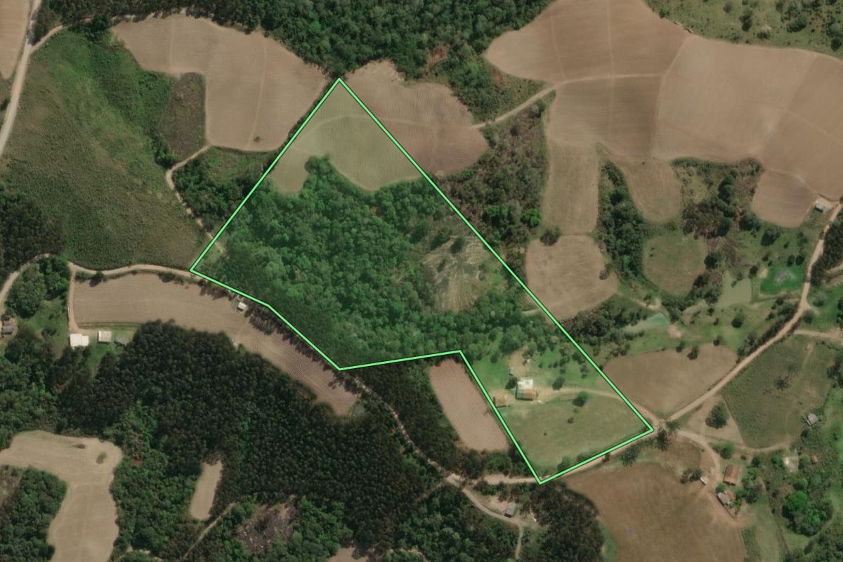 Imagem de satélite do imóvel rural em Major Vieira (SC), com o contorno declarado no CAR desenhado por cima.