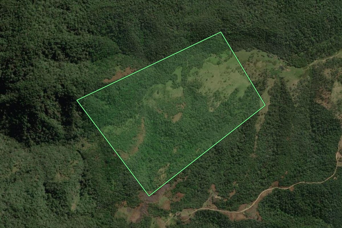 Imagem de satélite do imóvel rural em Major Vieira (SC), com o contorno declarado no CAR desenhado por cima.