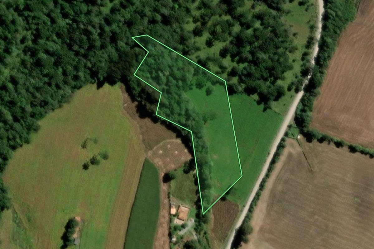 Imagem de satélite do imóvel rural em Major Vieira (SC), com o contorno declarado no CAR desenhado por cima.