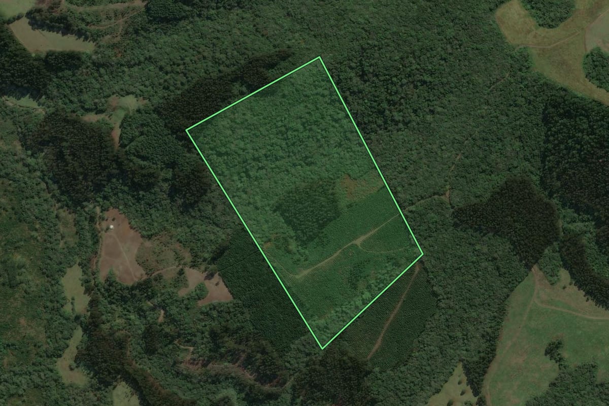 Imagem de satélite do imóvel rural em Major Vieira (SC), com o contorno declarado no CAR desenhado por cima.