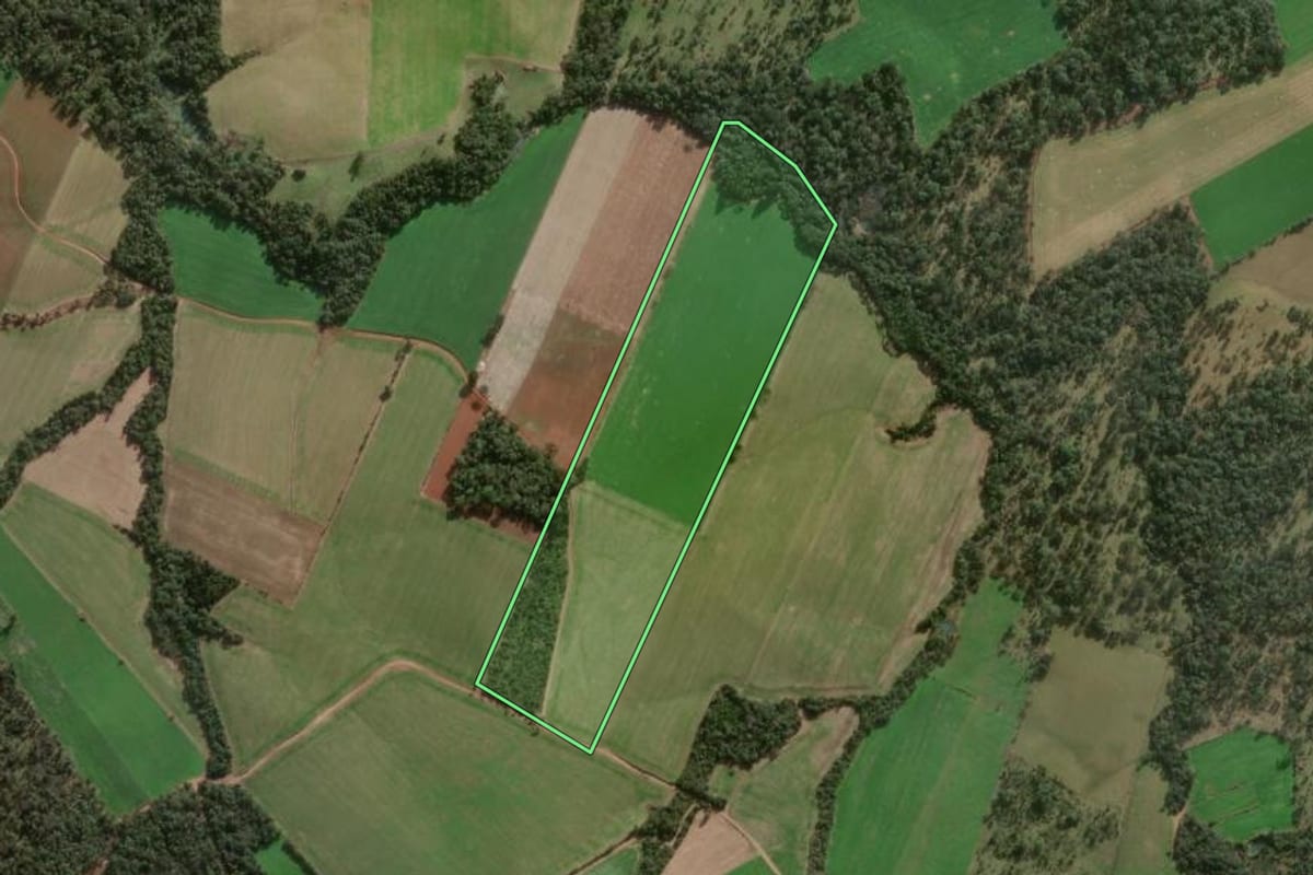 Imagem de satélite do imóvel rural em Major Vieira (SC), com o contorno declarado no CAR desenhado por cima.