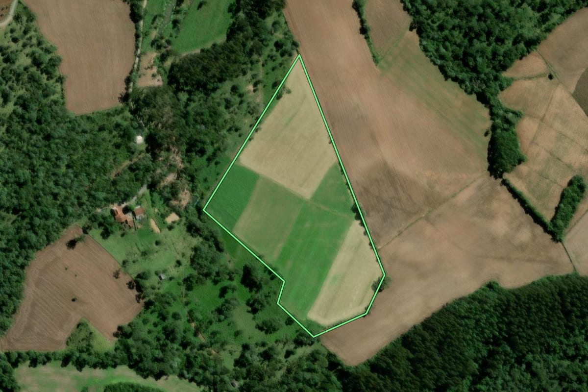 Imagem de satélite do imóvel rural em Major Vieira (SC), com o contorno declarado no CAR desenhado por cima.