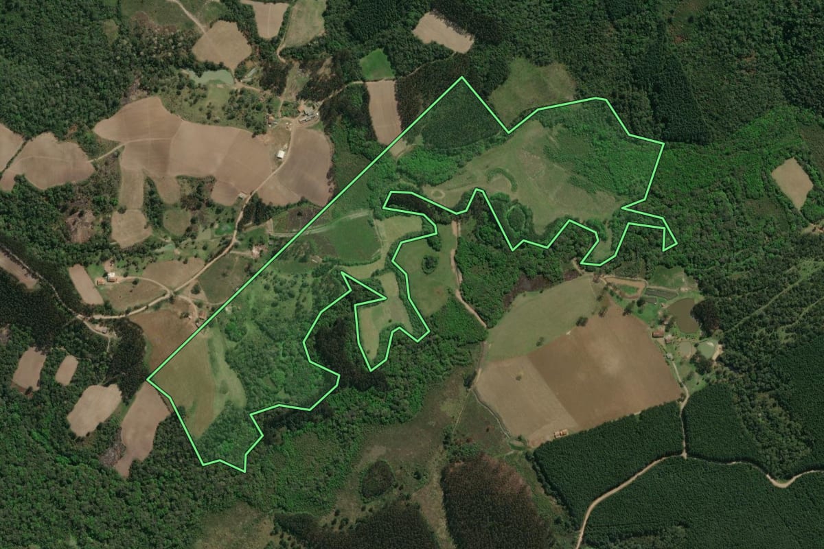 Imagem de satélite do imóvel rural em Major Vieira (SC), com o contorno declarado no CAR desenhado por cima.