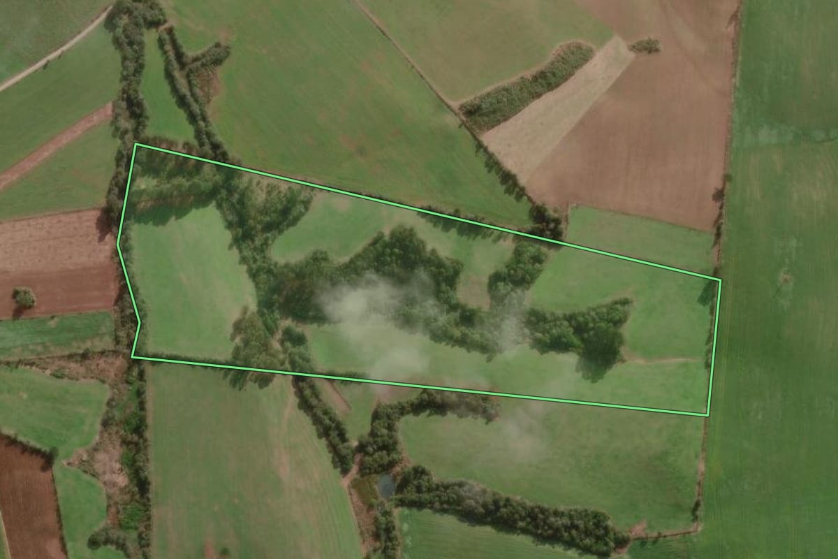 Imagem de satélite do imóvel rural em Major Vieira (SC), com o contorno declarado no CAR desenhado por cima.