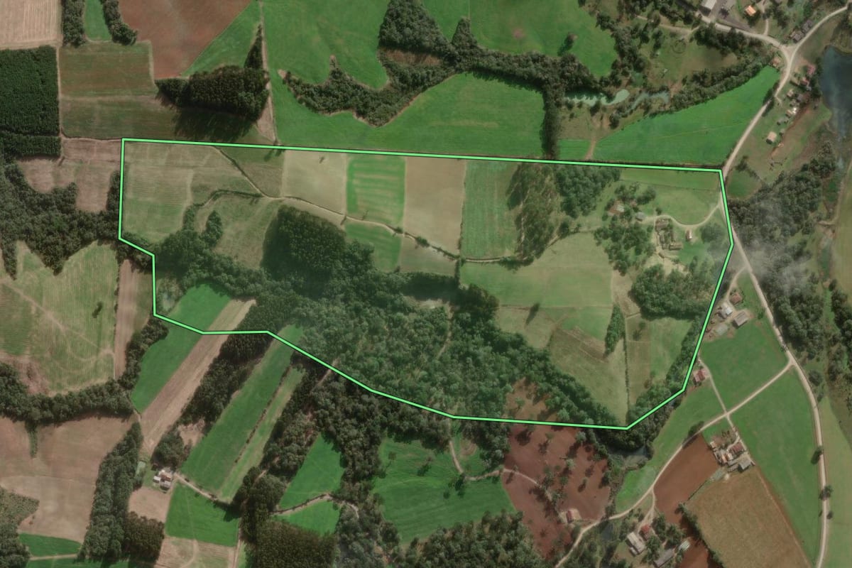 Imagem de satélite do imóvel rural em Major Vieira (SC), com o contorno declarado no CAR desenhado por cima.