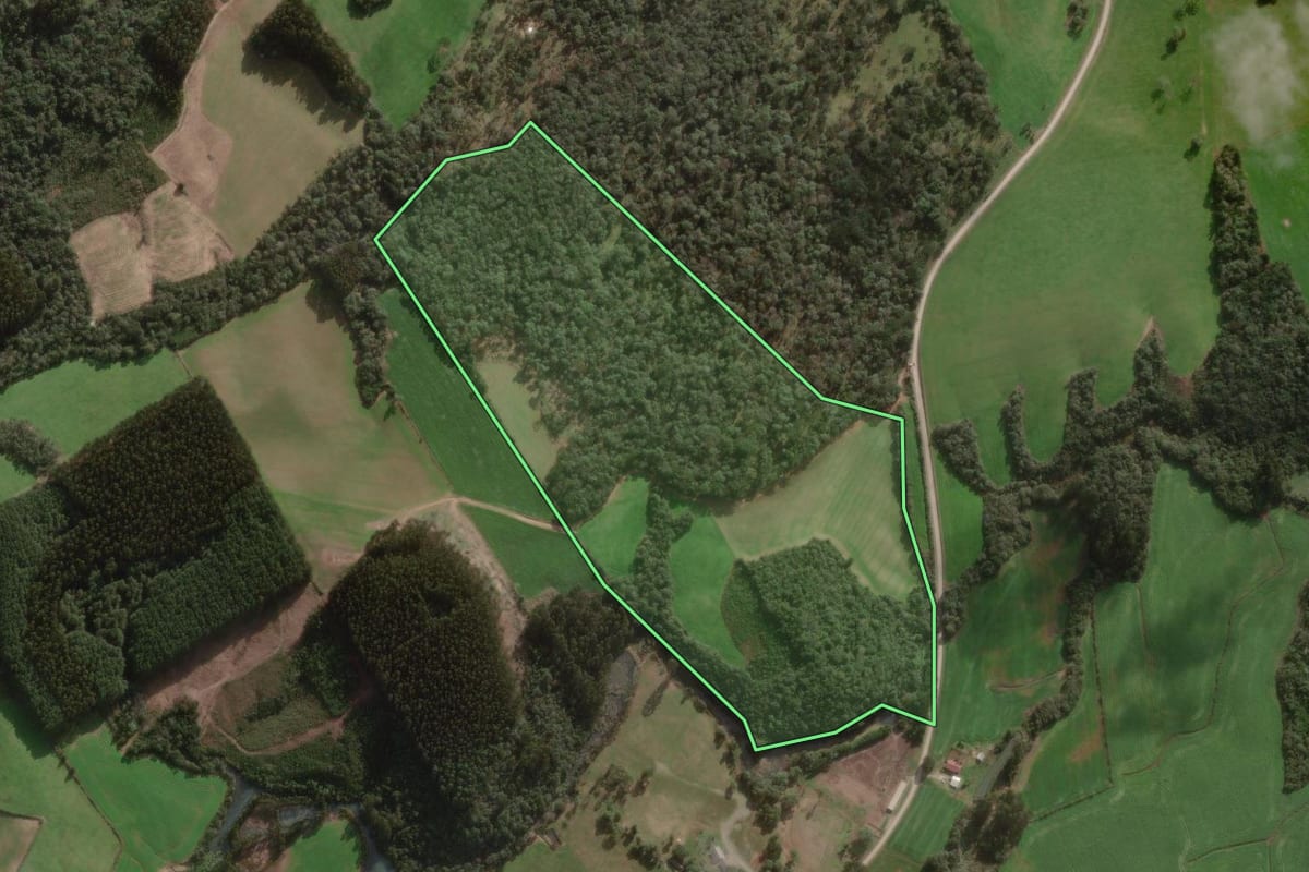 Imagem de satélite do imóvel rural em Major Vieira (SC), com o contorno declarado no CAR desenhado por cima.