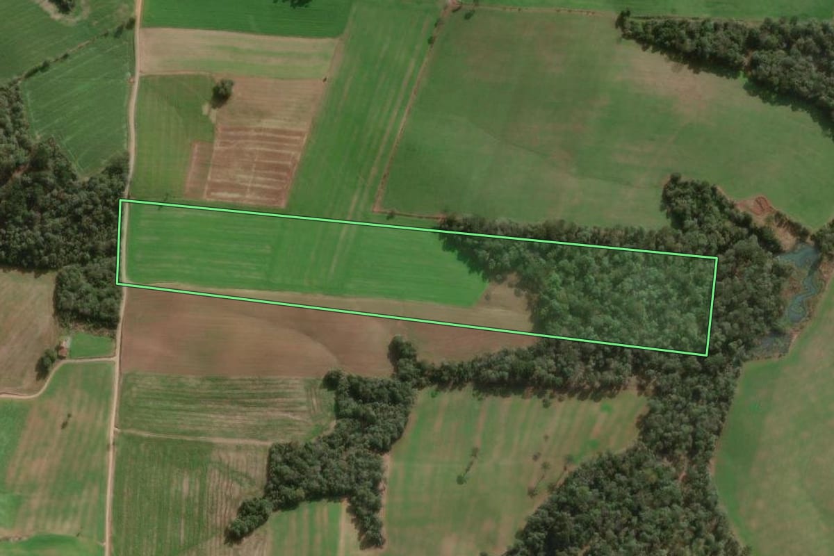 Imagem de satélite do imóvel rural em Major Vieira (SC), com o contorno declarado no CAR desenhado por cima.