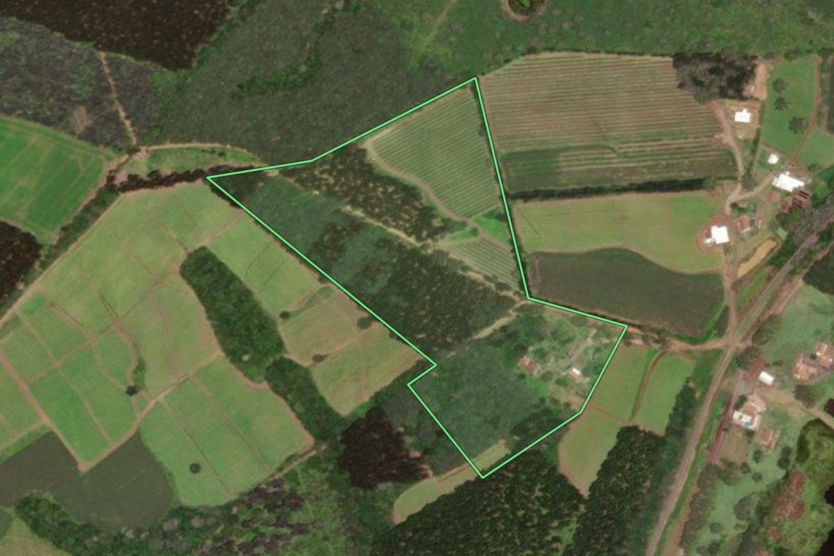 Imagem de satélite do imóvel rural em Major Vieira (SC), com o contorno declarado no CAR desenhado por cima.