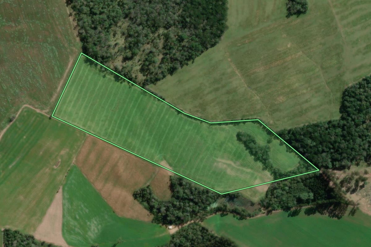 Imagem de satélite do imóvel rural em Major Vieira (SC), com o contorno declarado no CAR desenhado por cima.