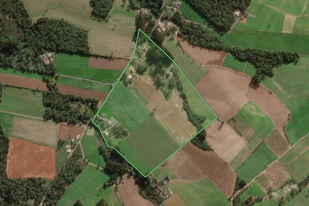 Imagem de satélite do imóvel rural em Major Vieira (SC), com o contorno declarado no CAR desenhado por cima.
