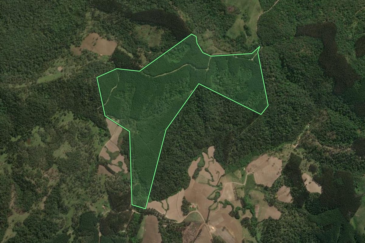 Imagem de satélite do imóvel rural em Major Vieira (SC), com o contorno declarado no CAR desenhado por cima.