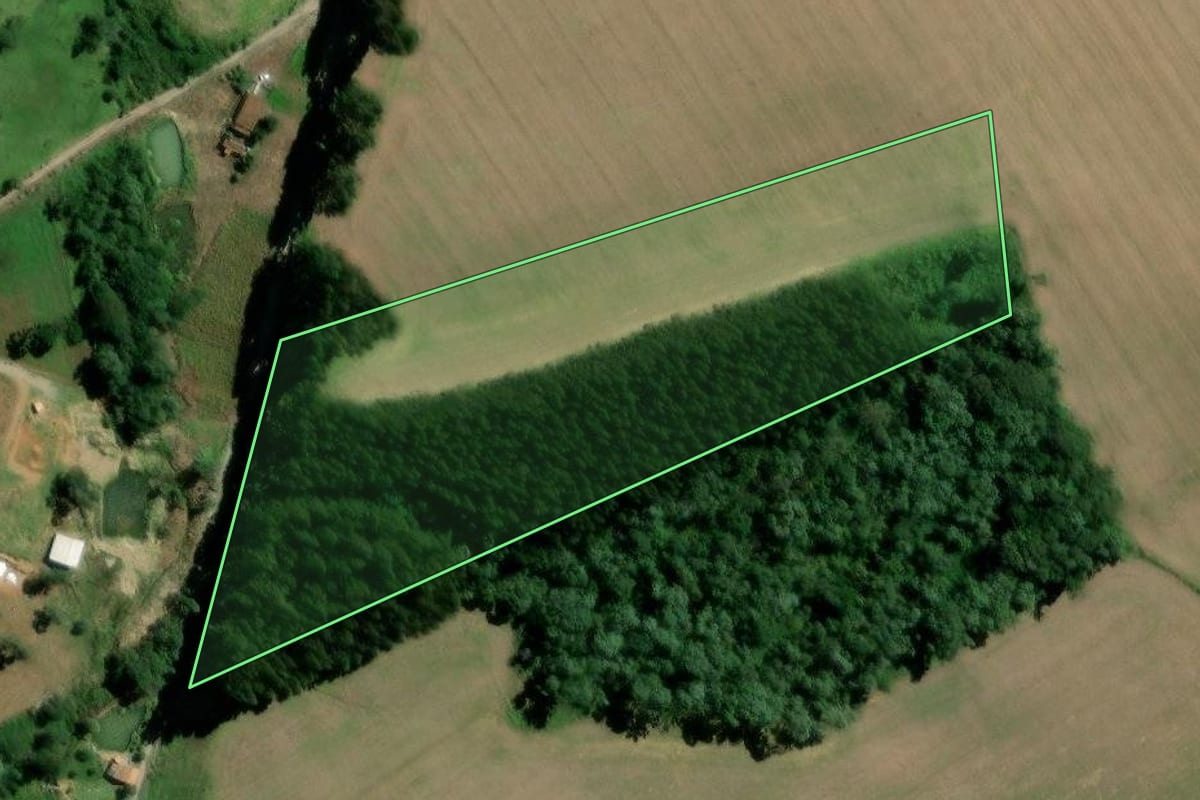 Imagem de satélite do imóvel rural em Major Vieira (SC), com o contorno declarado no CAR desenhado por cima.