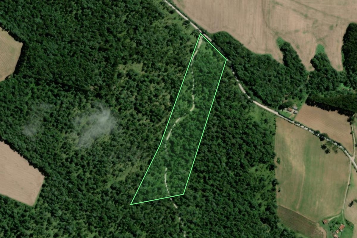 Imagem de satélite do imóvel rural em Major Vieira (SC), com o contorno declarado no CAR desenhado por cima.