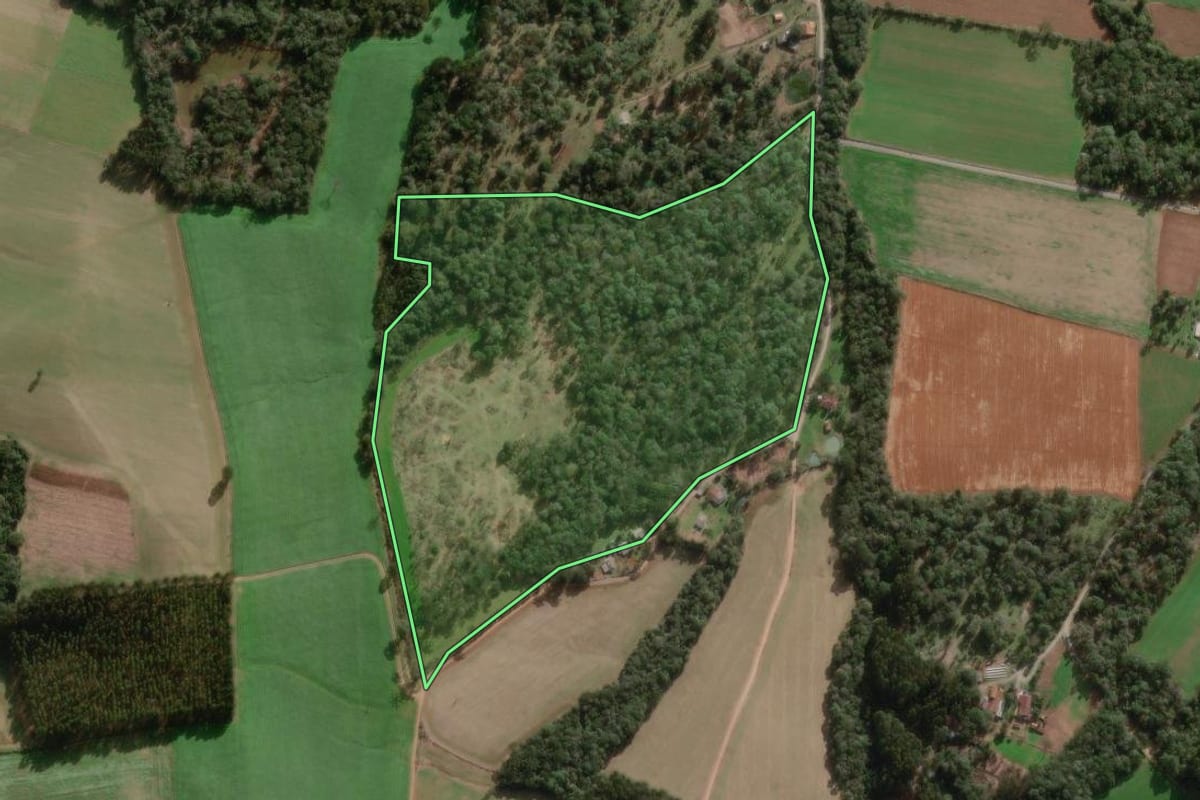 Imagem de satélite do imóvel rural em Major Vieira (SC), com o contorno declarado no CAR desenhado por cima.