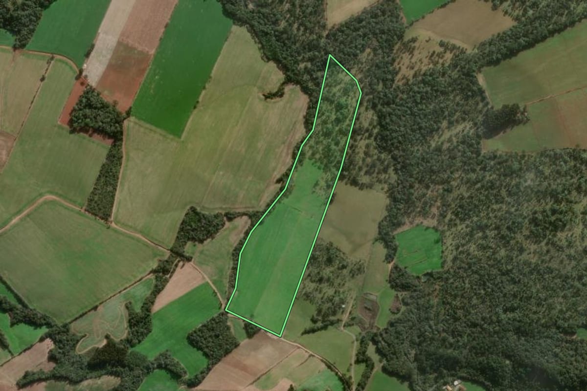 Imagem de satélite do imóvel rural em Major Vieira (SC), com o contorno declarado no CAR desenhado por cima.