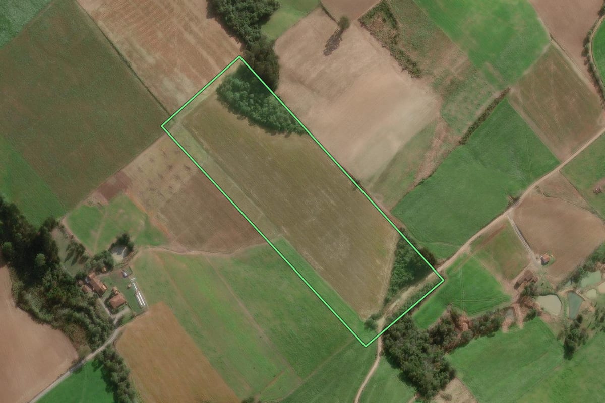 Imagem de satélite do imóvel rural em Major Vieira (SC), com o contorno declarado no CAR desenhado por cima.
