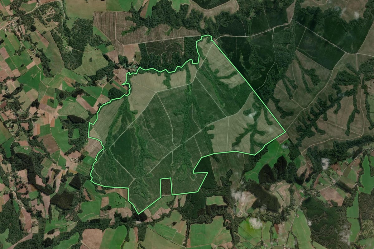 Imagem de satélite do imóvel rural em Major Vieira (SC), com o contorno declarado no CAR desenhado por cima.