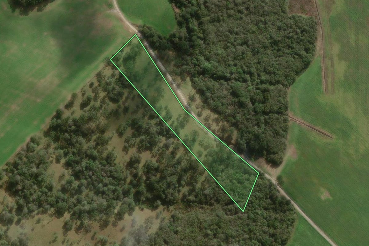 Imagem de satélite do imóvel rural em Major Vieira (SC), com o contorno declarado no CAR desenhado por cima.