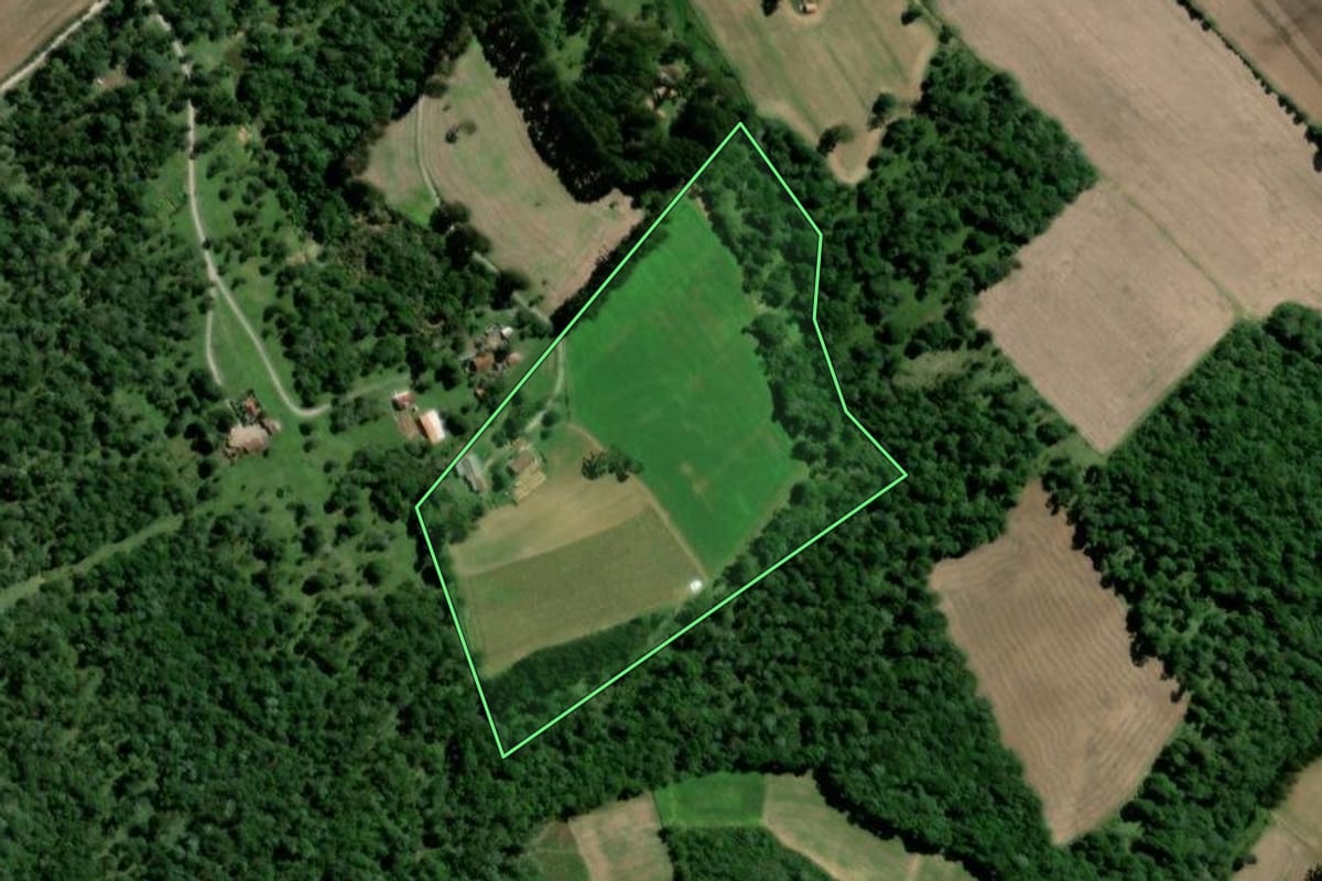 Imagem de satélite do imóvel rural em Major Vieira (SC), com o contorno declarado no CAR desenhado por cima.