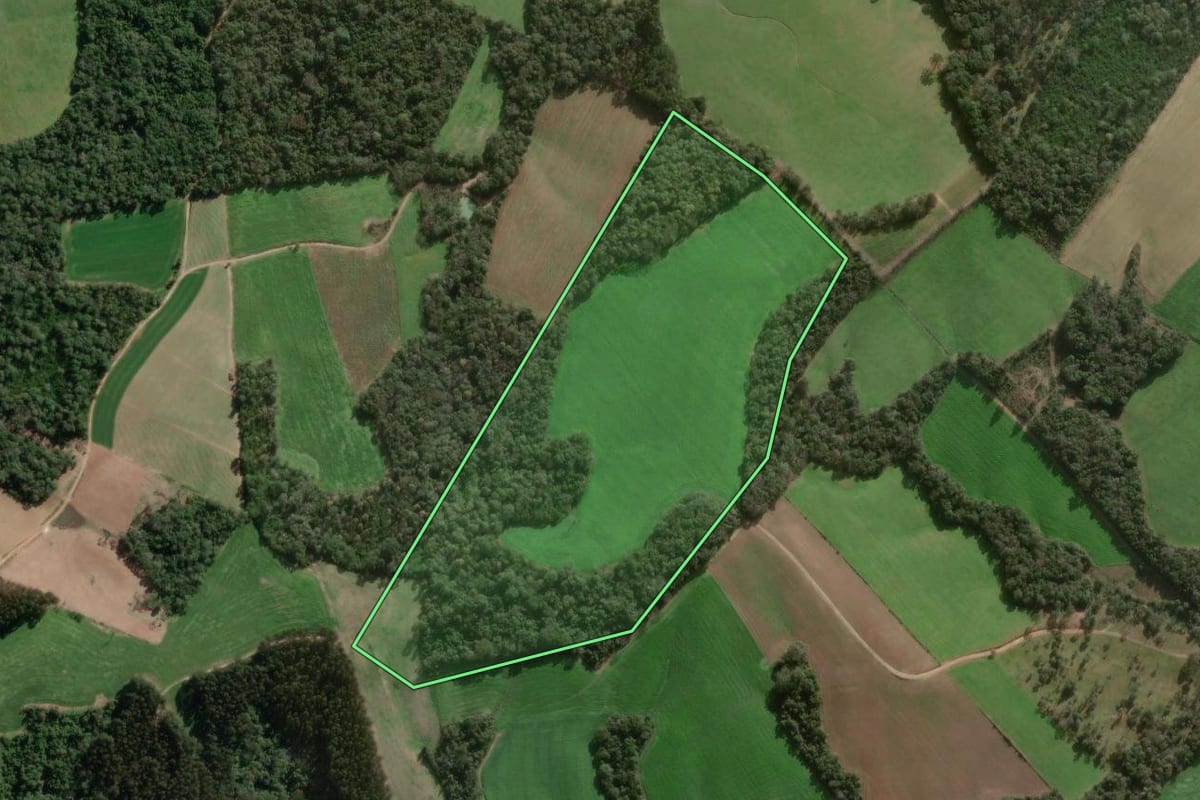 Imagem de satélite do imóvel rural em Major Vieira (SC), com o contorno declarado no CAR desenhado por cima.