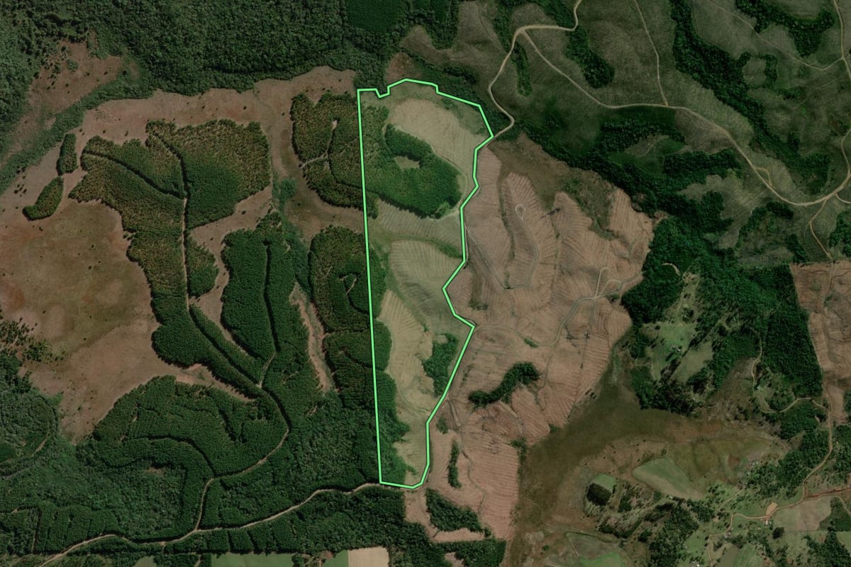 Imagem de satélite do imóvel rural em Major Vieira (SC), com o contorno declarado no CAR desenhado por cima.