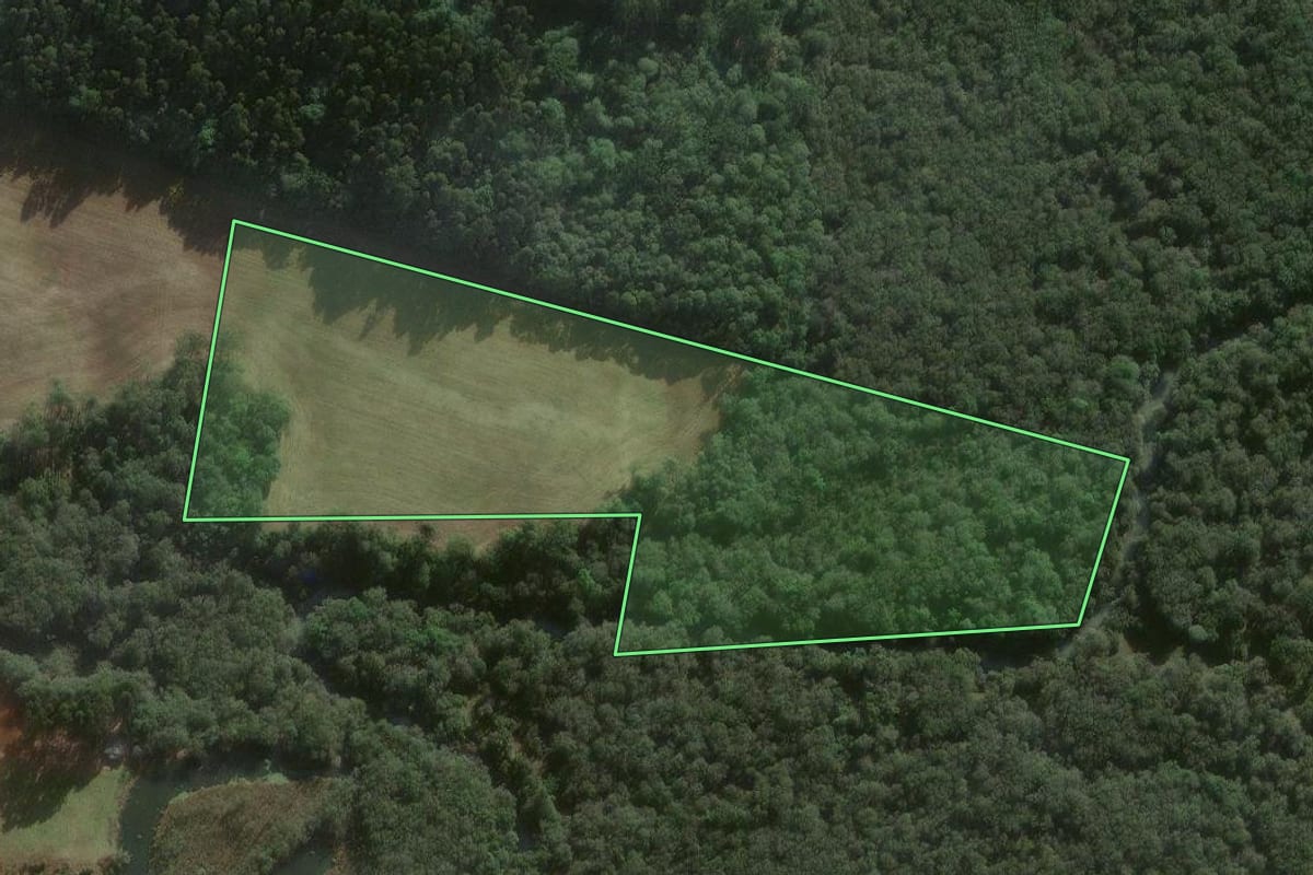 Imagem de satélite do imóvel rural em Major Vieira (SC), com o contorno declarado no CAR desenhado por cima.