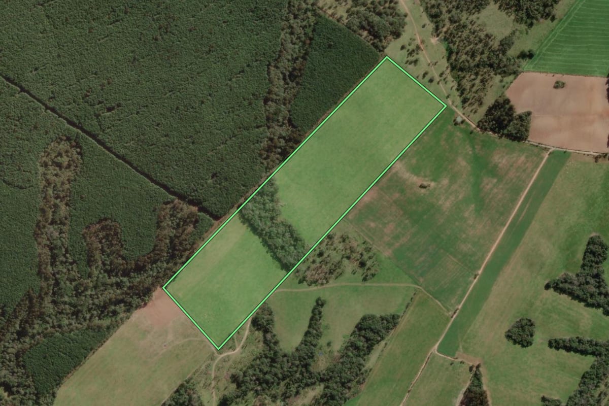 Imagem de satélite do imóvel rural em Major Vieira (SC), com o contorno declarado no CAR desenhado por cima.
