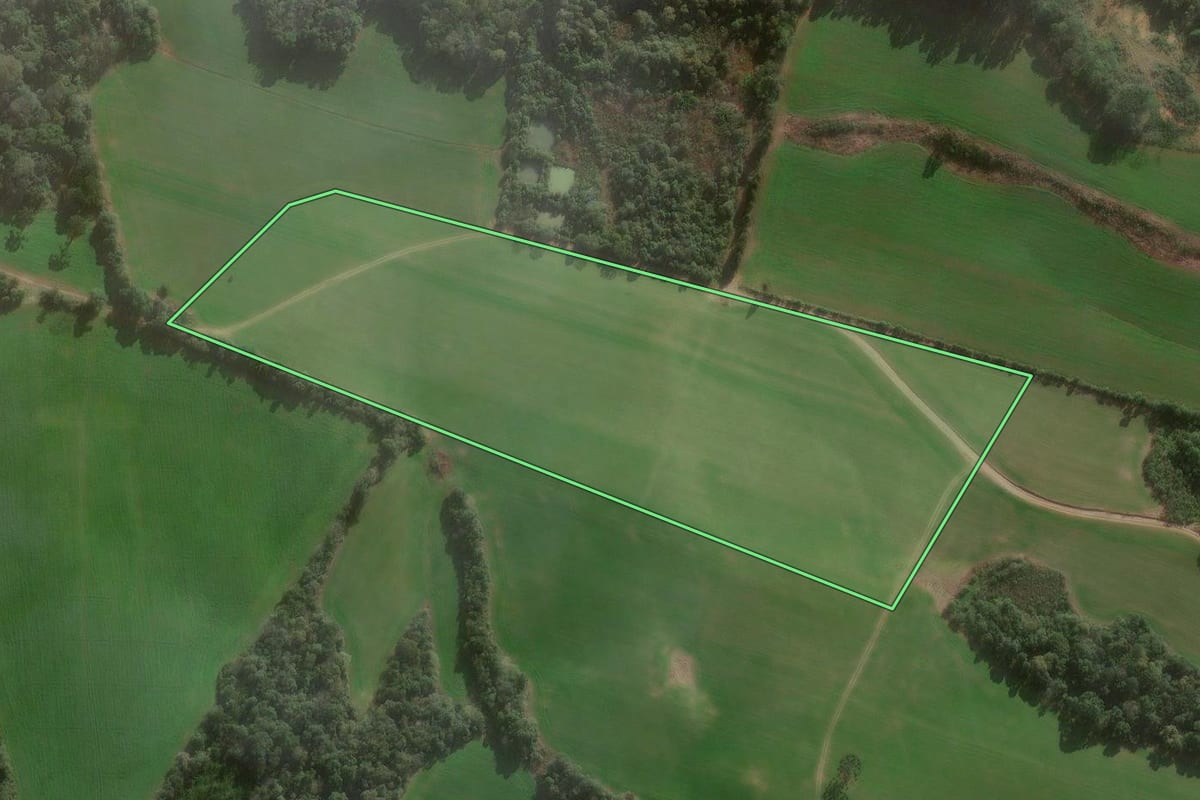 Imagem de satélite do imóvel rural em Major Vieira (SC), com o contorno declarado no CAR desenhado por cima.