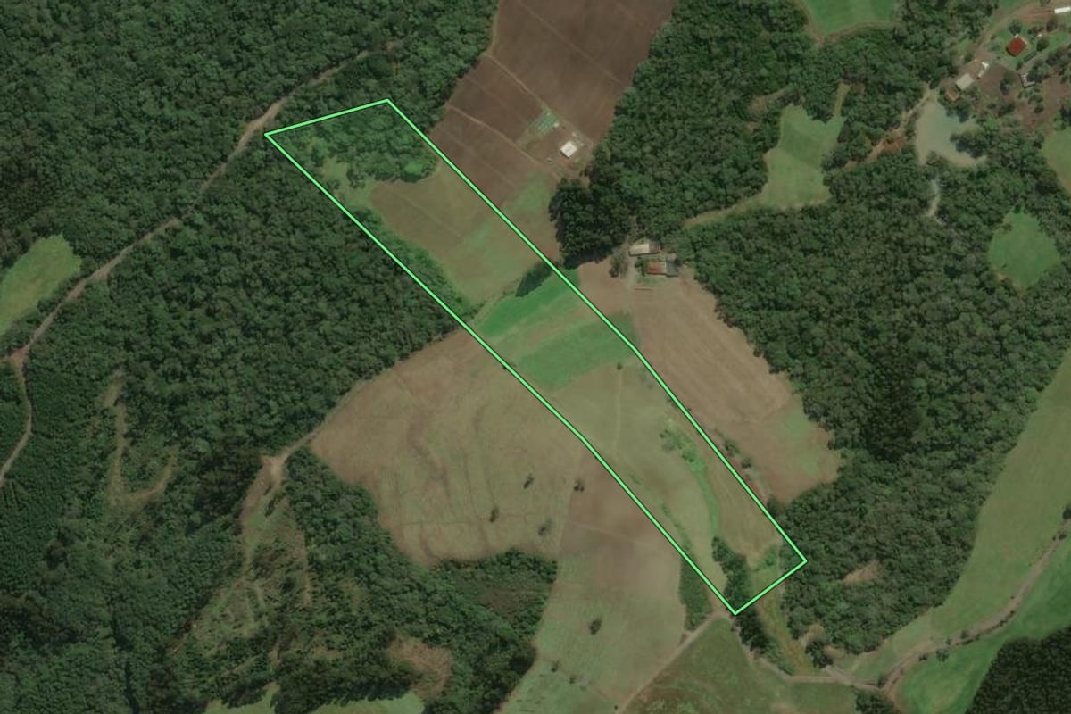 Imagem de satélite do imóvel rural em Major Vieira (SC), com o contorno declarado no CAR desenhado por cima.