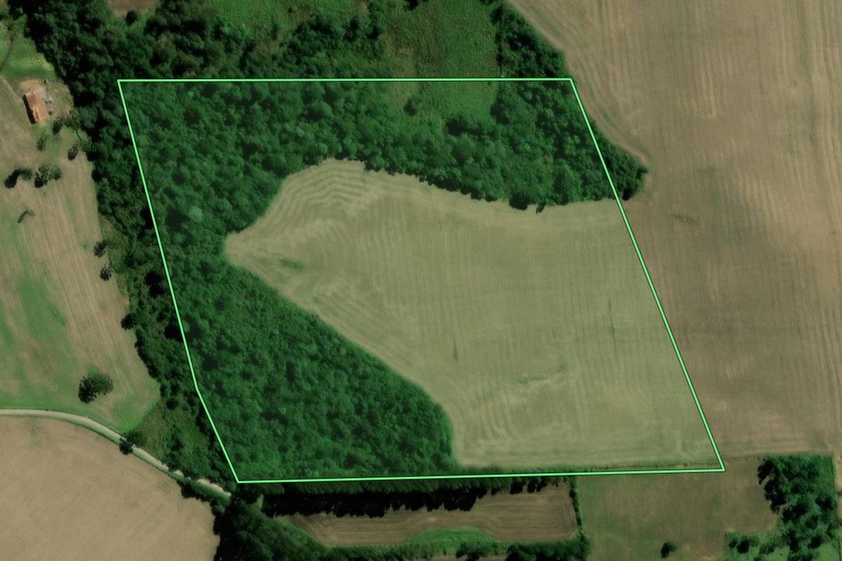 Imagem de satélite do imóvel rural em Major Vieira (SC), com o contorno declarado no CAR desenhado por cima.