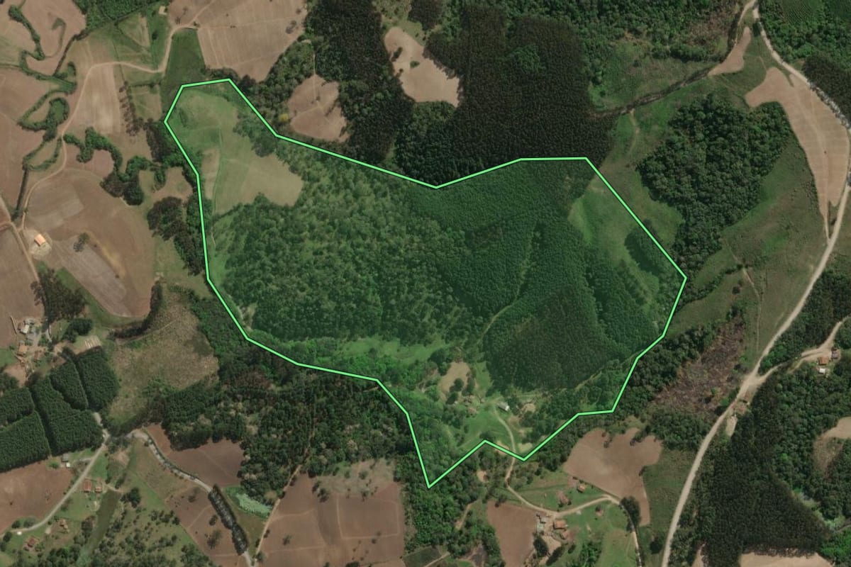 Imagem de satélite do imóvel rural em Major Vieira (SC), com o contorno declarado no CAR desenhado por cima.