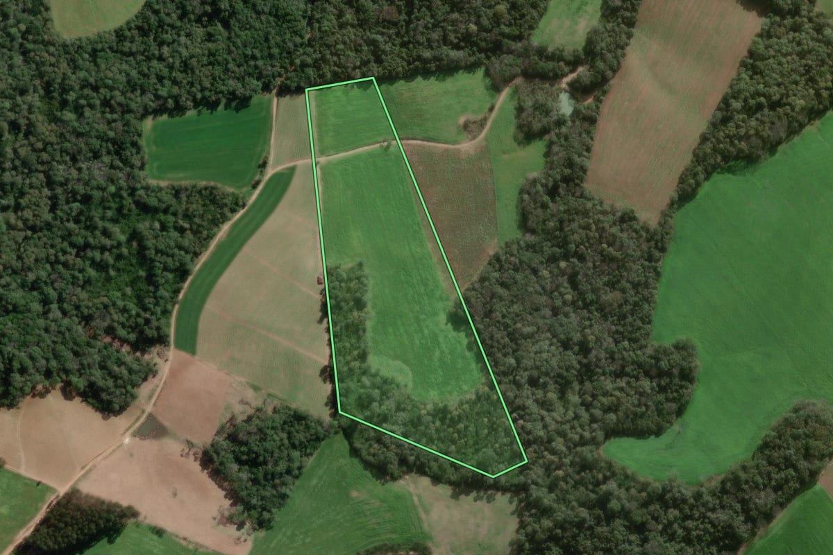 Imagem de satélite do imóvel rural em Major Vieira (SC), com o contorno declarado no CAR desenhado por cima.