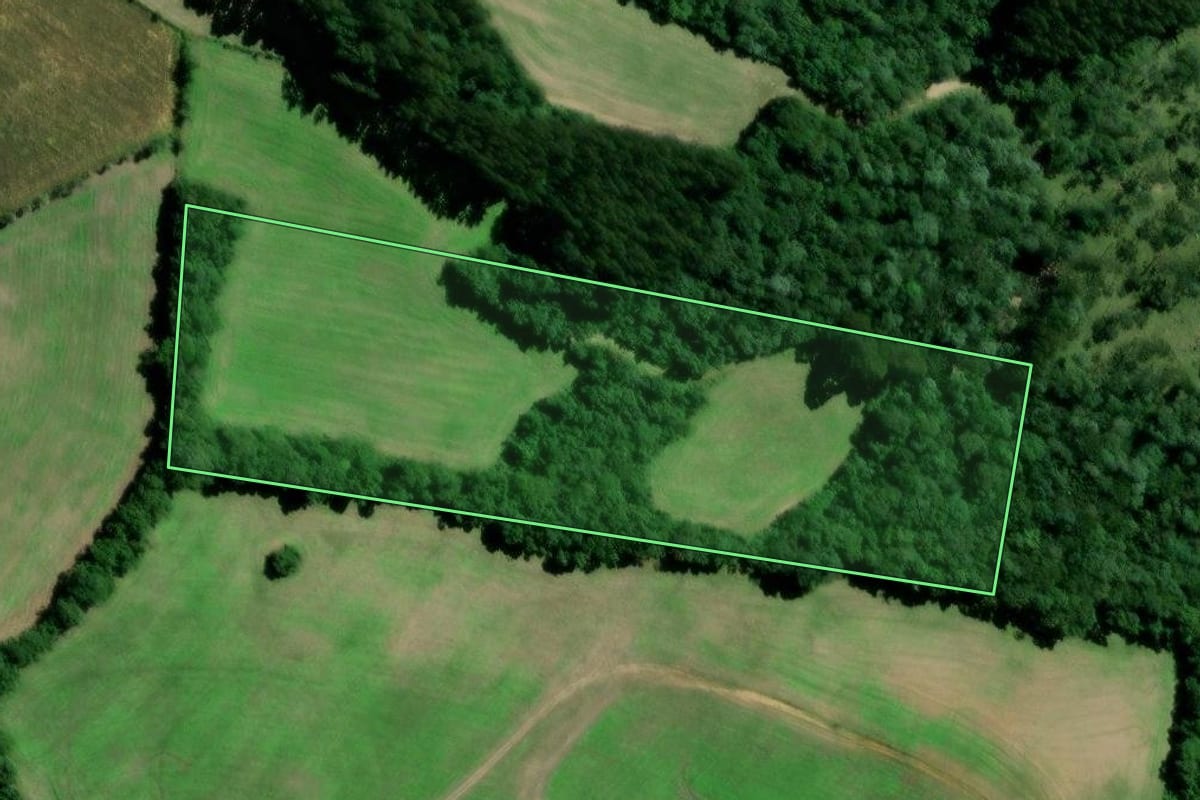 Imagem de satélite do imóvel rural em Major Vieira (SC), com o contorno declarado no CAR desenhado por cima.