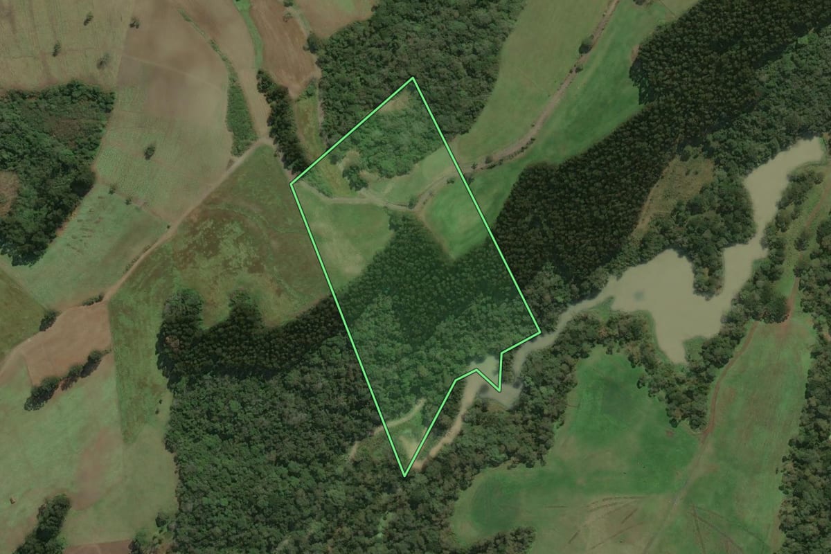Imagem de satélite do imóvel rural em Major Vieira (SC), com o contorno declarado no CAR desenhado por cima.