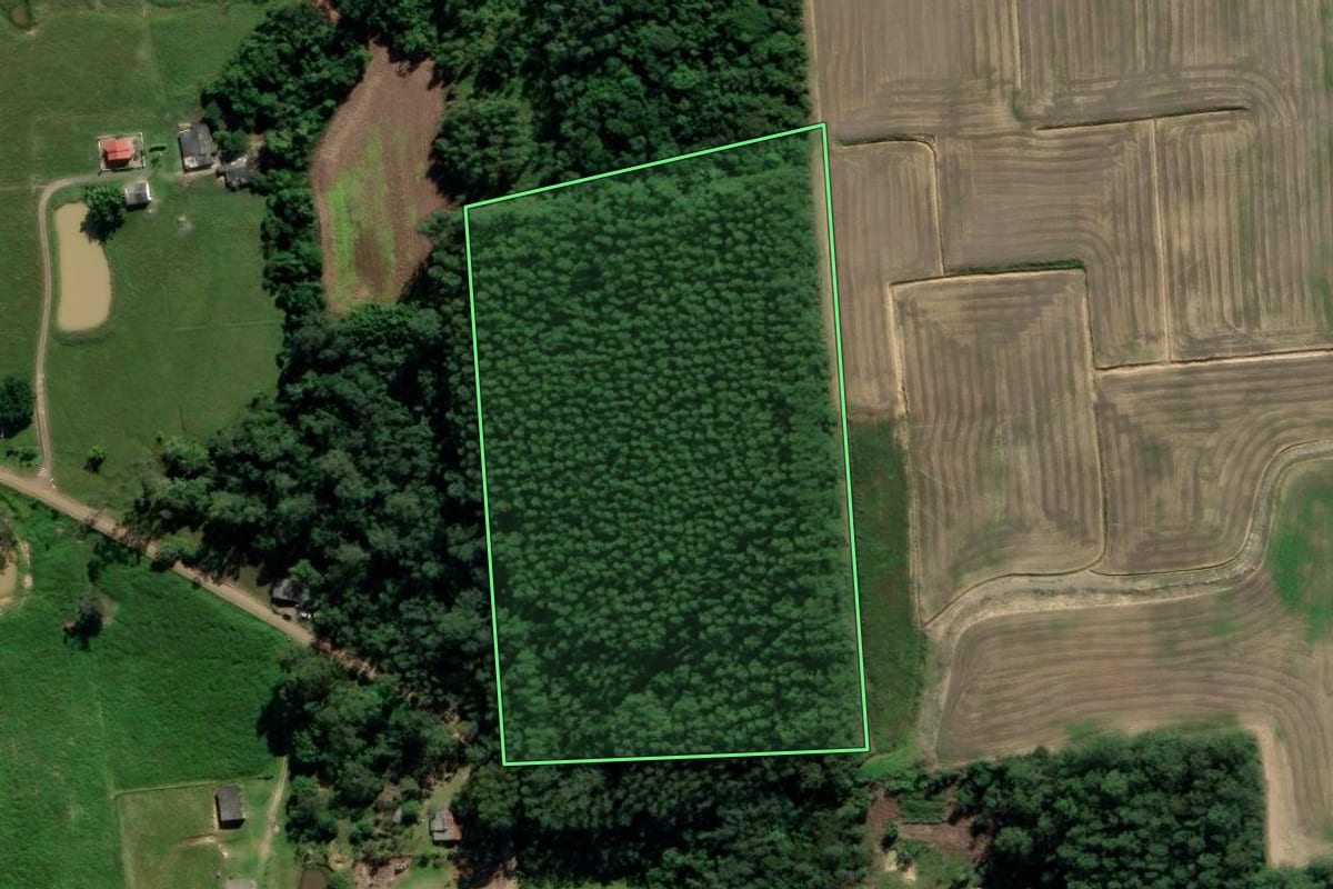 Imagem de satélite do imóvel rural em Maracajá (SC), com o contorno declarado no CAR desenhado por cima.