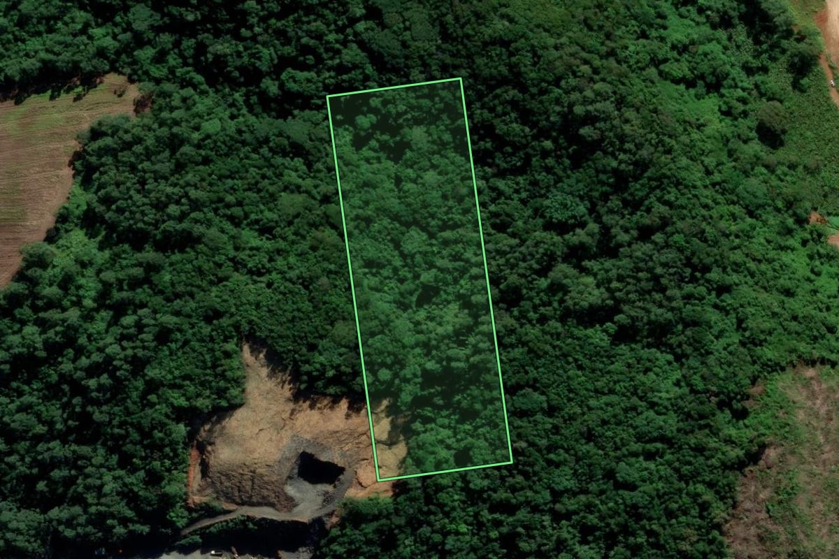 Imagem de satélite do imóvel rural em Maracajá (SC), com o contorno declarado no CAR desenhado por cima.