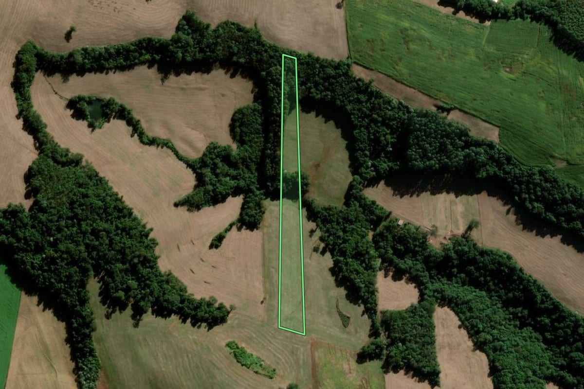 Imagem de satélite do imóvel rural em Maravilha (SC), com o contorno declarado no CAR desenhado por cima.