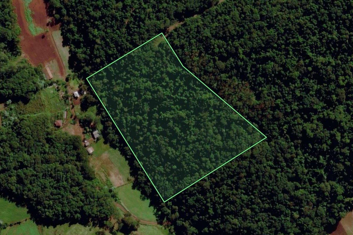 Imagem de satélite do imóvel rural em Maravilha (SC), com o contorno declarado no CAR desenhado por cima.